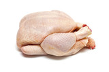 poule